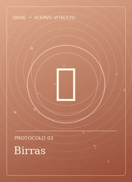 Capa ilustrativa de Birras